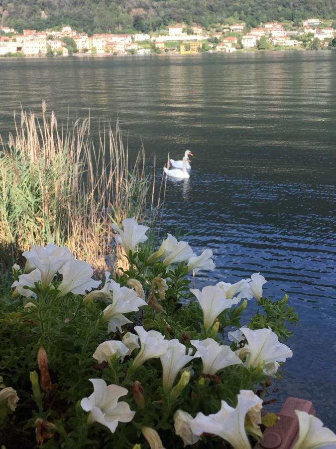 La Casa Dei Cigni Sul Lago D'Orta Omegna Zewnętrze zdjęcie